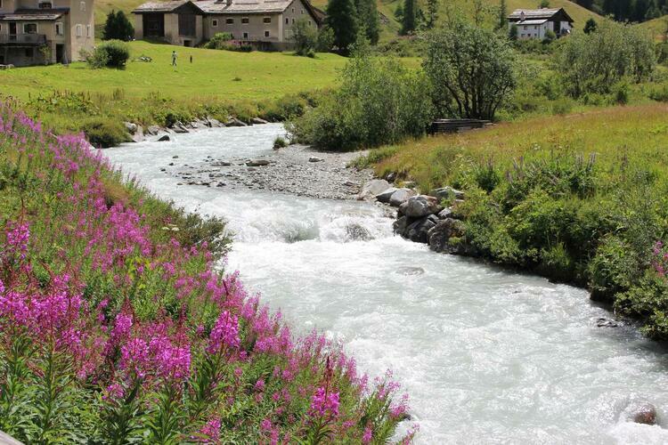 Pensiun Chesa Pool In Saint Moritz Engadin Switzerland - 