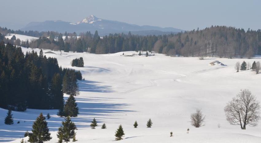 Hotel De La Haute Montagne In Monts Jura France
