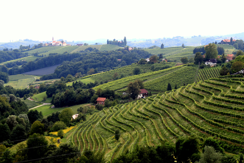 Thermalbäder Ljutomer